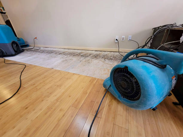 Reliable Basement Flood Cleanup contractor in Harrisonville, MO by Hirex Water Damage