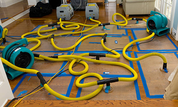 Professional Basement Flood Cleanup technician working in Harrisonville, MO